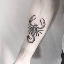Check out these 99 tattoo designs, including tribal scorpions and scorpio symbol art. 30 Amazing Scorpio Tattoo Designs With Meanings Saved Tattoo