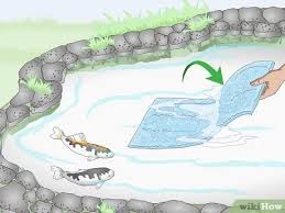 James is never killed, and rarely seriously hurt, no matter how many bullets fly and explosions go boom, or how many times the villains capture him and have him helpless. How To Breed Koi Fish 15 Steps With Pictures Wikihow