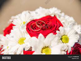 The blooms vary in size from two inches to ten inches. Wedding Rings On Image Photo Free Trial Bigstock