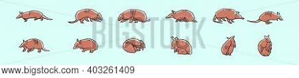 Navy blue armadillo graphic illustration postcard | zazzle.com. Set Armadillo Cartoon Vector Photo Free Trial Bigstock