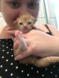 2020 RACC alums Pearl and Void