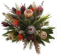 Birthdays, anniversaries, get well, sympathy and more. Native Hand Tied Flower Bouquet Florist Sydney Melbourne Brisbane Canberra Adelaide Perth Darwin Hobart Australia