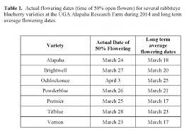 Uga Blueberry Blog Rabbiteye Blueberries 2014 When Will