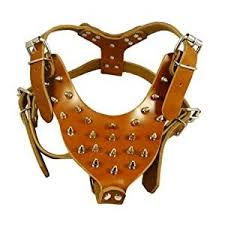 dog collars harnesses leashes panosundaki pin