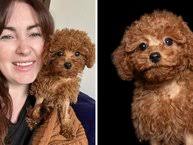 Chilling X-ray shows knife in Kansas boy Eli Gregg's skull