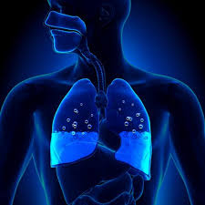 Les bronches c'est une bronchite. Oedeme Pulmonaire Tout Savoir Sur La Presence D Eau Dans Les Poumons