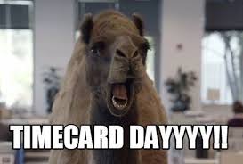 Meme Maker Timecard Dayyyy Meme Maker Happy Hump Day Meme Hump Day Images Funny Happy