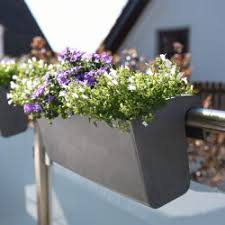 Diese art hochzeit gästebuch ist interaktiv, kreativ und ein schönes andenken für sie, für jahre zu kommen. Pflanze Zur Hochzeit Schenken 5 Schone Nachhaltige Tipps Ideen