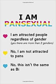 American heritage® dictionary of the english. I Am Pansexual I Am Attracted People Regaedless Of Gender Colorful Notepad For Lgbt Fans Gay Pride Journal Rainbow Notebook Lesbian Wedding Notebook Adult Book 6x9 Over 100 Pages Amazon De Notebooks