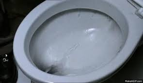 Also, see if you ca. The Ultimate Toilet Quiz Howstuffworks