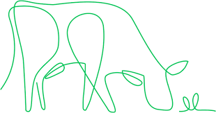 Organic Original Baby Formula