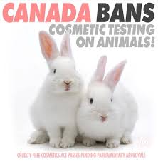 This test will verify if a layer of lip balm can create a water seal. Canada Banned Cosmetic Testing On Animals Via Directactioneverywhere Vegan