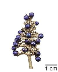 Image result for Pollia condensata