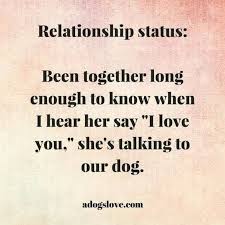 Pin By Kerry Anderson Cfo On Chloe Dog Quotes Sayings I Love Dogs