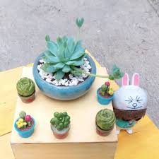 Mini Tree Home Facebook