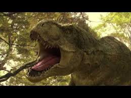 Bird Cleaning Crocodile Teeth Youtube Pin On Animals Birds Life In Oceans Prehistoric Extinct Related