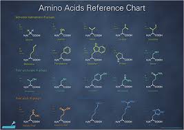 Pin By Eric Tobias On Biochemistry Biochemistry Science