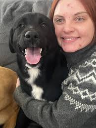 Friends of The Humane Society for Boone County