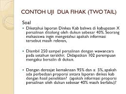Dimana p adalah peluang seseorang yang memilih saya. Pengujian Hipotesis Proporsi 1 Sampel Ppt Download