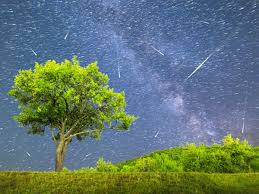 1 day ago · celebrated on july 28 annually, the world nature conservation day serves as a reminder to preserve our natural resources. Jpowokxxri68vm