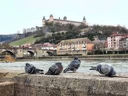 Wochenende In Wurzburg 7 Tipps Fur Die Stadt Am Main Wurzburg Urlaub Bayern Wochenende Urlaub