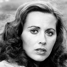 Watch Live TV, Movies, and TV Shows Free Online