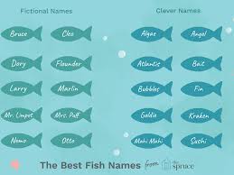 Even out of the water it is capable of lunging upwards to bite. 57 Perfect Names For Pet Fish