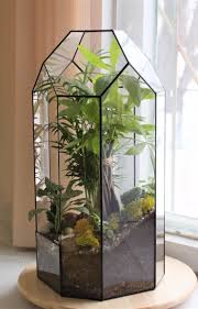 Pin On Jardineria