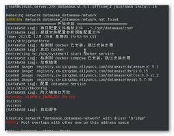 安装启动相关- DataEase 文档