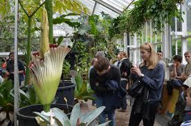 De botanische tuin is het hele jaar toegankelijk, al sluit hij wel vroeger in de winter. Plantentuin Meise