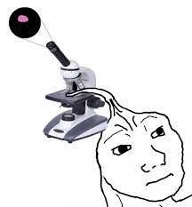 Wojak small brain meme inlet is an internet slang term primarily used as a pejorative on 4chan when referring to those. Microscopic Brain Brainlet Know Your Meme