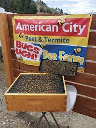 Instructions on how to prepare for a fumigation, what items of food need. American City Pest Termite Helps Apiary Grow Pest Management Professional