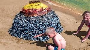 Du hast dich mit deinen freundinnen. 12 Schlimmsten Brautkleider Der Welt Youtube