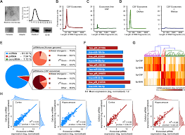 A Combined Mirna Pirna Signature To Detect Alzheimers