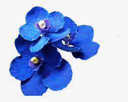 Dec 29, 2016 · indigo flowers. Dark Blue Flowers Transparent Png Image Transparent Png Free Download On Seekpng