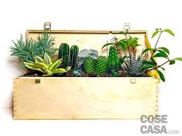 Piante Grasse Una Composizione Facile Come Realizzarla Cose Di Casa Contenitori Per Piante Grasse Piante Grasse Composizione Piante Grasse