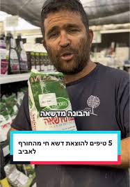 5 טיפים להוצאת דשא חי מהחורף לאביב