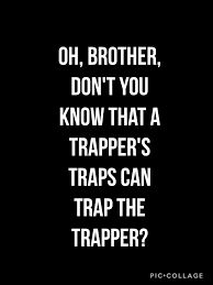 Pin On How To Train Your Dragon