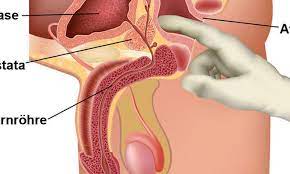 Viele fühlen sich dabei in ihrer intimität gestört, doch es gibt glücklicherweise inzwischen auch viele männer, die regelmäßig zur. So Verlauft Die Untersuchung Prostata Untersuchung Angstfrei Zum Urologen Praxisvita De
