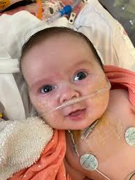 📬🐾 Wagging with excitement… Gavin's got MAIL! 🐾📬 Say hello to Gavin's  brand-new mailbox — located