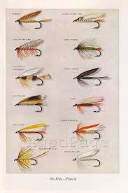 Vintage Print Trout Fishing Flies Art Illustration By Agedpage Fly Fishing Flies Trout Fly Fishing Art Fly Fishing Tips