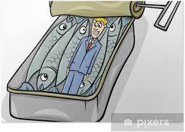 What are another words for packed like sardines belonging to phrase? Packed Like Sardines Saying Cartoon Poster Pixers We Live To Change