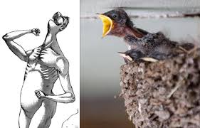 Falco S First Titan Is Logic Now Titanfolk Shingeki no kyojin / attack on titan healthy. falco s first titan is logic now