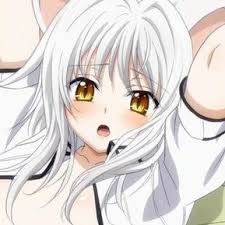 Toujou Koneko Highschool Dxd Dxd Anime High School Highschool Dxd