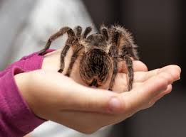 Within an hour, it'll hurt a little more, and the pain might spread to your back, belly, and chest. A New Crazy Hot Chilli Sauce Feels Like Tarantulas Just Bit Your Tongue Creator Says