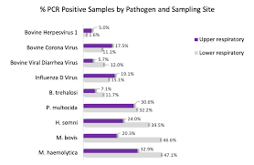 Image result for Respiratory Panel