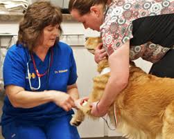 Why choose marcum road animal hospital? Full Service Animal Hospital Reproductive Veterinary Care In Florida