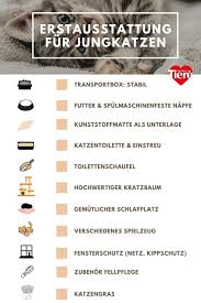 Was bei der ankunft der kleinen nicht fehlen sollte, haben wir euch daher in einer checkliste mit ein paar tipps aufgelistet, so dass ihr in den ersten. Erstausstattung Fur Jungkatzen Herz Fuer Tiere De