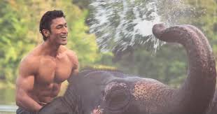 Последние твиты от junglee (@jungleemovie). Junglee Teaser Vidyut Jammwal Stars In The Mask Director Chuck Russell S Bollywood Debut