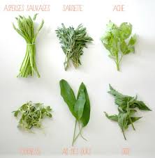 Suisse 2012 1 Asperges Sauvages 2 Sarriette Ou Poivrette 3 L Ache Aussi Appelee Liveche Provient De La Famil Plante Cuisine Roumaine Ail Des Ours